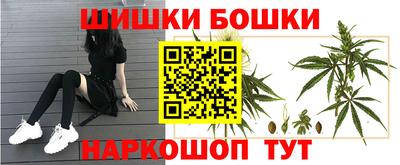 крисы Бузулук